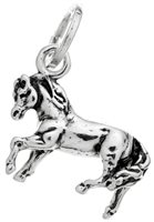 Charm Giovanni Raspini Charms in Argento 09853 - 09853